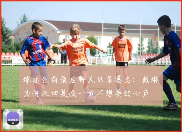 球迷生前最后聊天记录曝光：戴琳为何未回复我一分不想要的心声