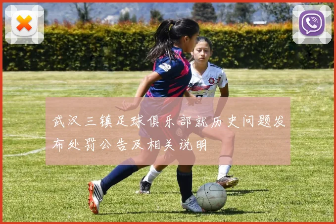 武汉三镇足球俱乐部就历史问题发布处罚公告及相关说明