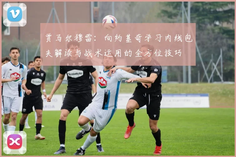 贾马尔穆雷：向约基奇学习内线包夹解读与战术运用的全方位技巧