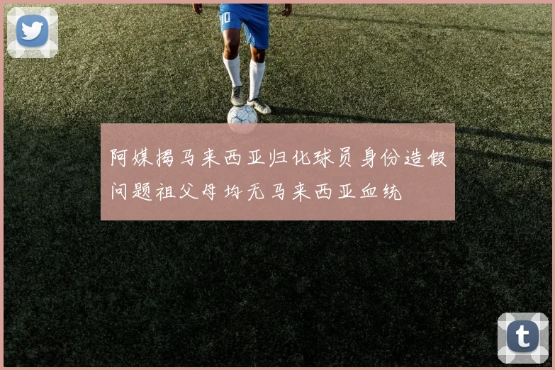 阿媒揭马来西亚归化球员身份造假问题祖父母均无马来西亚血统