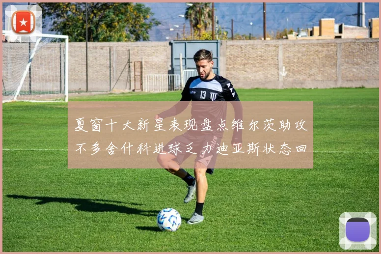夏窗十大新星表现盘点维尔茨助攻不多舍什科进球乏力迪亚斯状态回暖