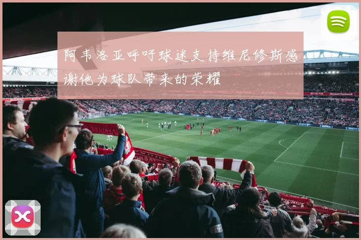 阿韦洛亚呼吁球迷支持维尼修斯感谢他为球队带来的荣耀