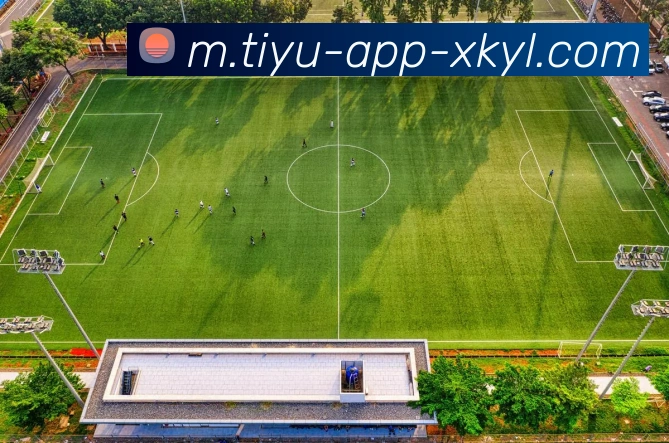 星空体育发展历程